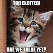 Image result for Excited Cat Memes No Text