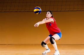 Image result for Best Volleyball