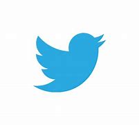 Image result for Twitter Bird Logo