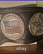 Image result for John Cena Spinner Belt