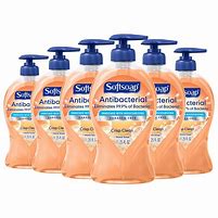 Image result for H4 Hand Soap