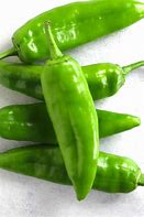 Image result for Long Green Chili Pepper