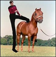 Image result for Riker Horse Meme