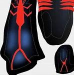 Image result for Spider-Man Unlimited Action Figure