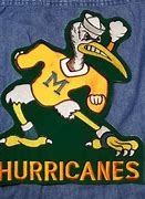 Image result for Miami Hurricanes Vintage Logo