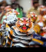 Image result for Tiger Dance Myeik