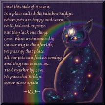 Image result for Cat Sayings About Crossing the Rainbow Bridge