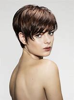 Image result for Dark Brown Pixie Haircuts