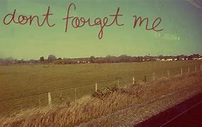 Image result for Don't Forget Me Quotes