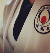 Image result for Aikido Tattoo