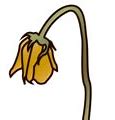 Image result for Dead Flower Emoji