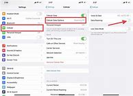 Image result for Data Roaming Option On iPhone