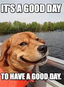 Image result for Today Is a New Day Funny Meme