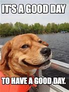 Image result for Have a Great Day Animal Meme
