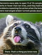 Image result for Weird Nature Facts