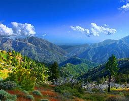 Image result for American Forest Mountain
