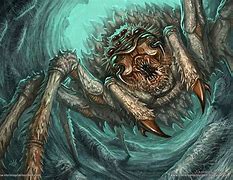 Image result for Birdeater Goliath Huntsman Spider