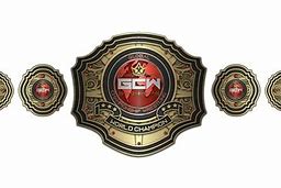 Image result for Custom Wrestling Belt Designs