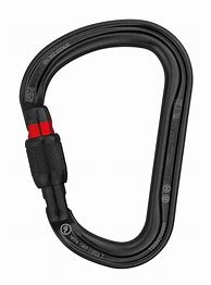 Image result for Triact Lock Carabiner