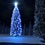 Image result for December Wallpaper Christmas Lights