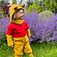Image result for Winnie the Pooh Halloween Costume