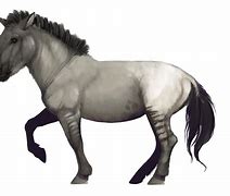 Image result for Ancient Horse Breeds Calendar