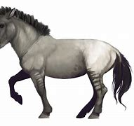 Image result for Pleistocene Horse