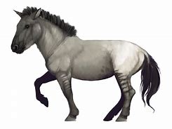 Image result for Ancient War Horse Breeds