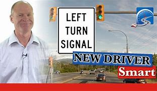 Image result for Traffic Light Left Turn Signal