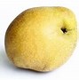 Image result for Pear Species
