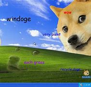 Image result for Thinking of You Dog Memes