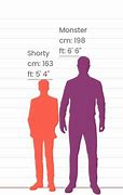 Image result for Height in Inches Size Comparison