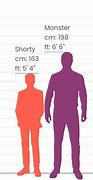 Image result for Height Compare Tool