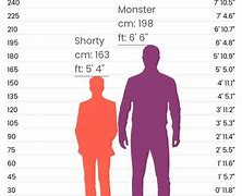 Image result for Height 5'2 in Inches