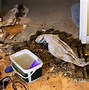 Image result for how to detect a water leak under concrete