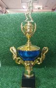 Image result for Resin Cricket Trophy