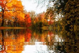 Image result for Autumn Fall HD Wallpaper