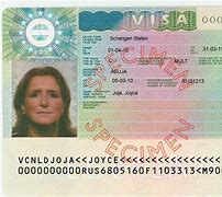 Image result for Multiple Visa