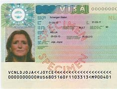 Image result for Single Entry Visa