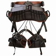 Image result for Arborist Chest Saddle Harness