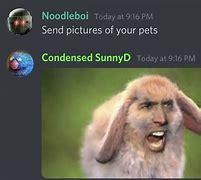 Image result for Sus Discord Memes