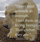 Image result for Animal Protection Quotes