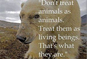 Image result for Saving Animal Quotes