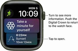 Image result for Parts of Apple Watch Display