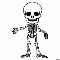 Image result for Halloween Skeleton Sketch