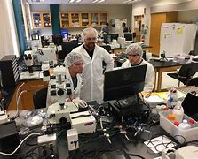 Image result for Biomedical Engineering Schools in Florida