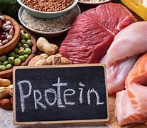 Image result for Examples of High Protein Foods