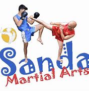 Image result for Martial Arts Fighter