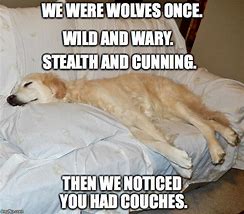 Image result for We Were Wolves Once Meme