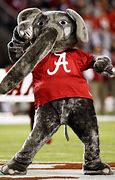 Image result for Alabama Crimson Tide Football Mascot